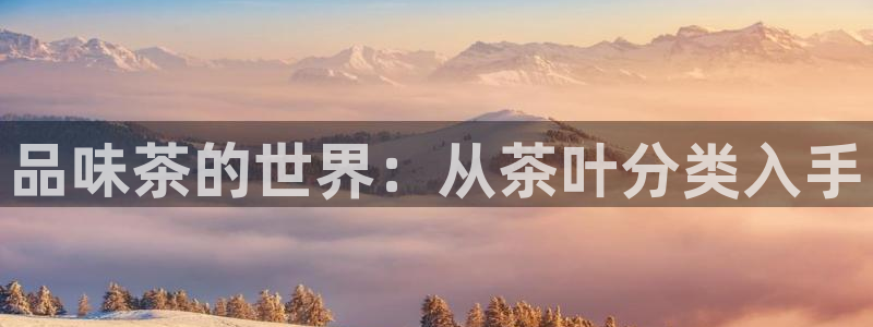 鸿运物流直播平台