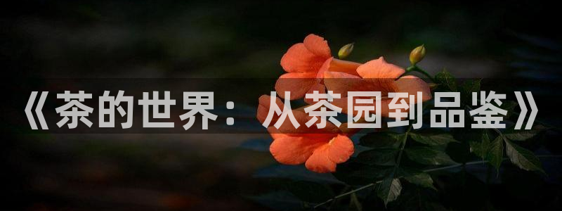 鸿运达交易平台