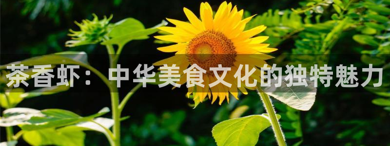 鸿运棋牌游戏平台