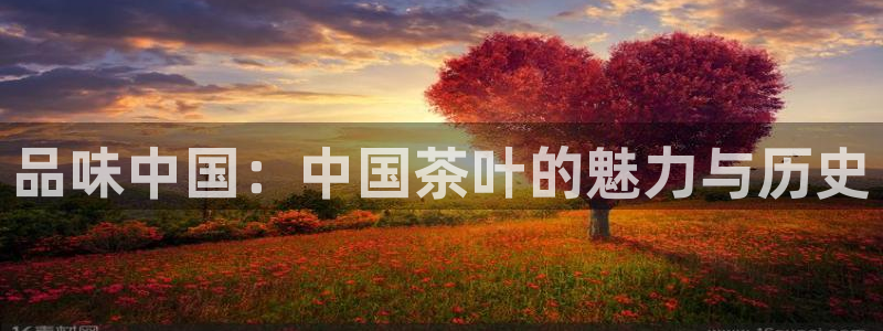 鸿运借款平台可靠吗