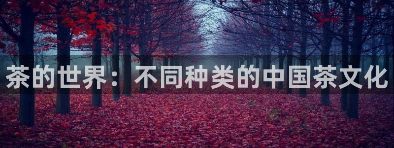 鸿运寄卖回收平台