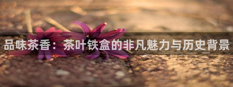 彩票鸿运直播平台