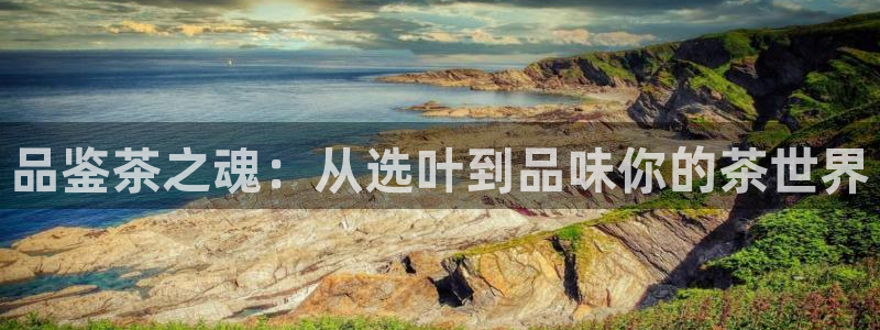 鸿运最新平台叫什么