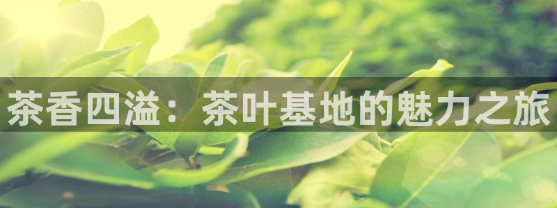 中国鸿运是什么平台