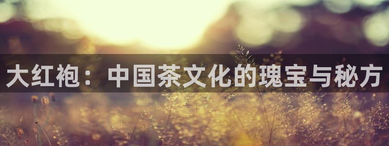 鸿运国际黑平台