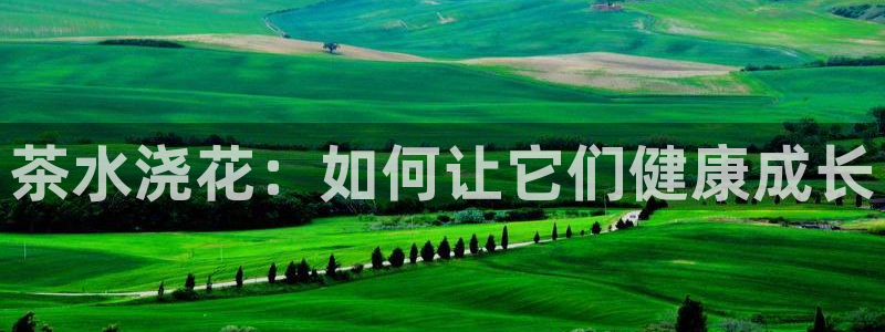 鸿运彩票黑平台