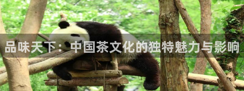 琥珀鸿运平台理财