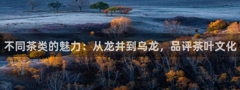 鸿运物流诚信经营平台