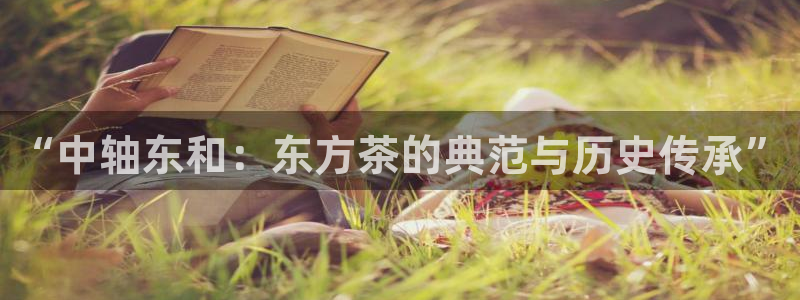 鸿运国际体育平台