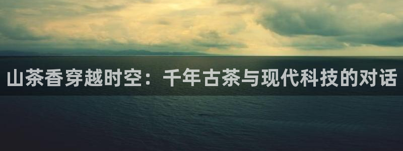 鸿运集团有几个平台