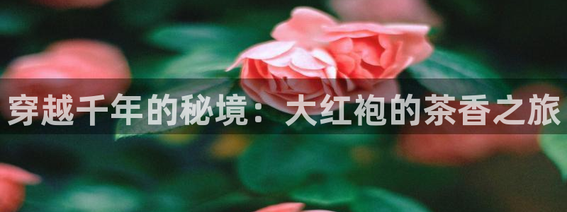 鸿运集团平台官网