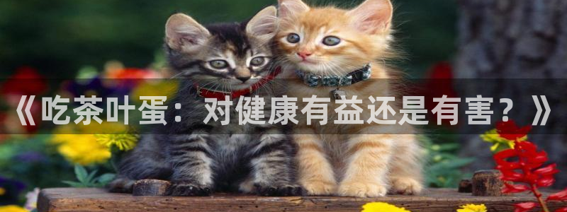 鸿运国际平台平台怎么样