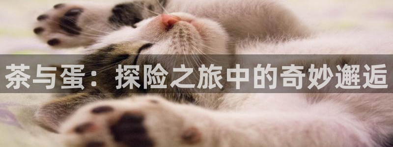 鸿运物流诚信经营平台