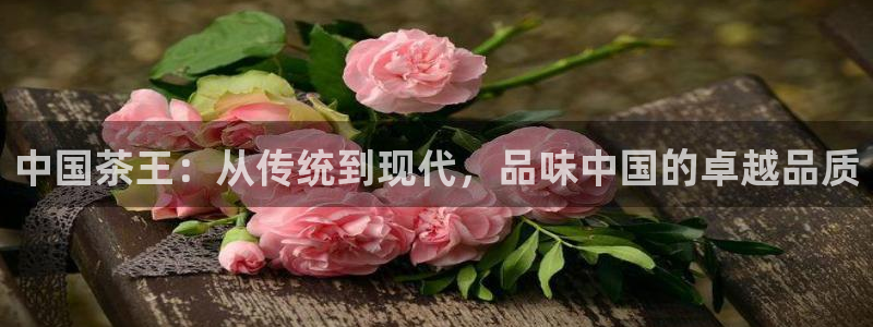 鸿运注册平台官网