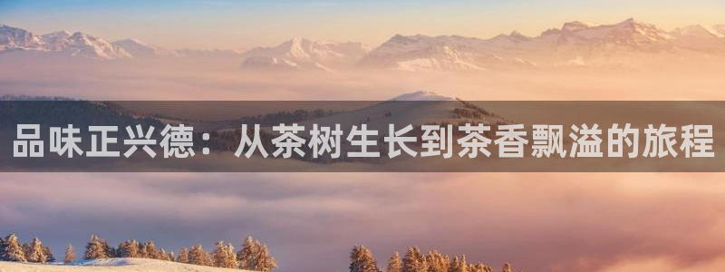 鸿运集团平台官网