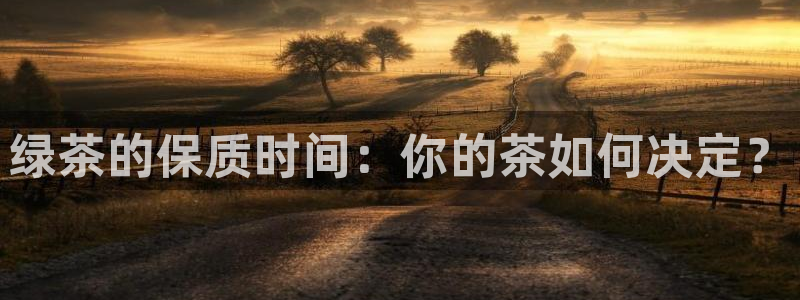 鸿运和拍拍卖平台