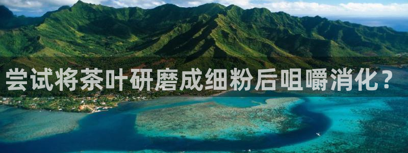 会员鸿运国际平台