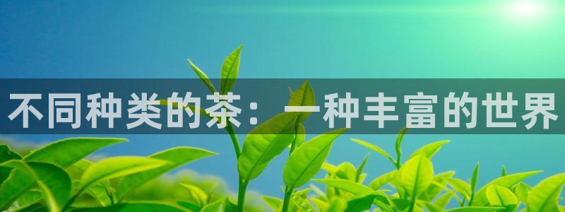 鸿运小说阅读平台