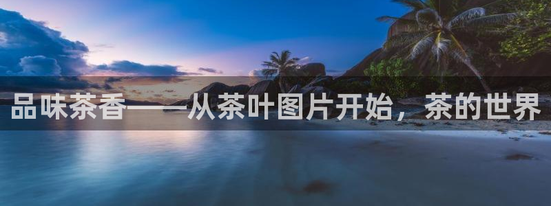 鸿运快三直播平台