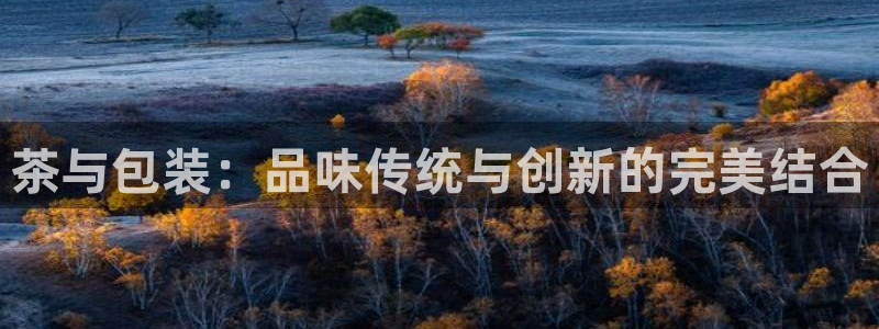 鸿运时时彩平台