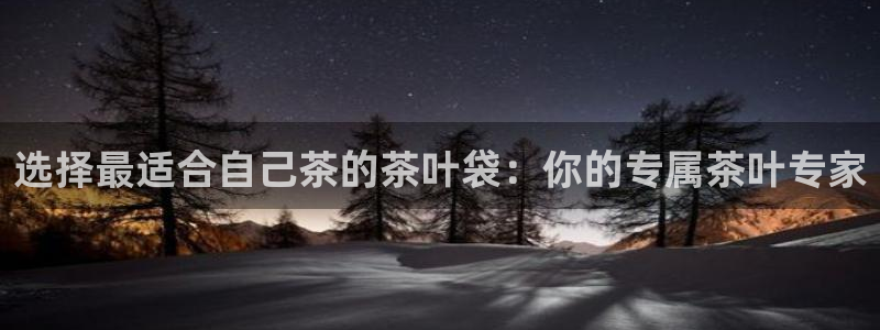 鸿运平台是什么