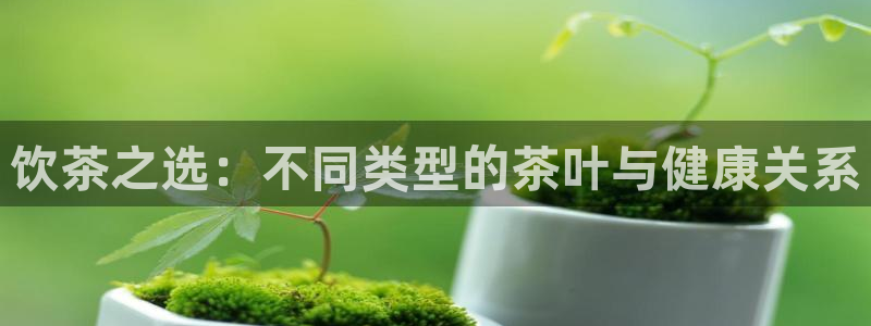 鸿运彩票平台注册