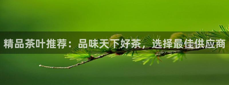 琥珀鸿运是什么平台