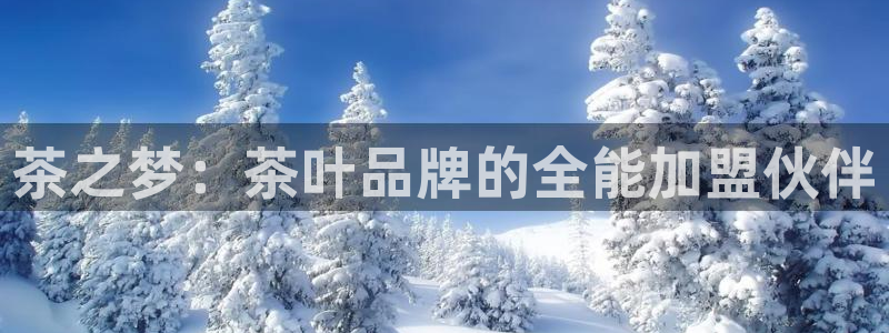 鸿运当头购物平台