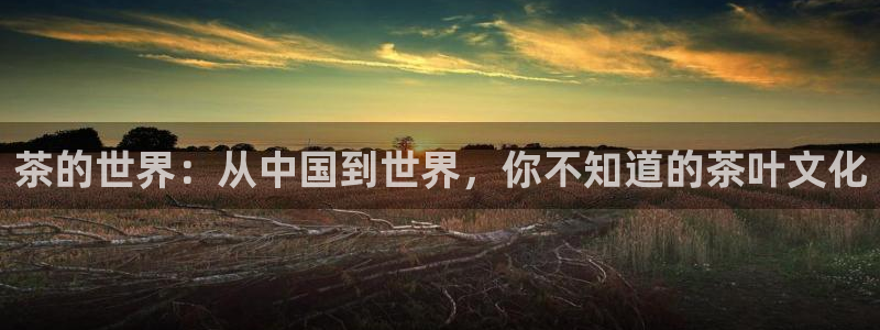 鸿运旧货交易平台