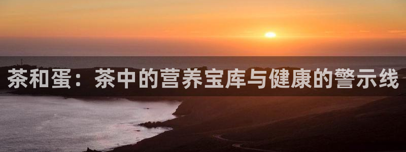 鸿运彩票平台登录不了