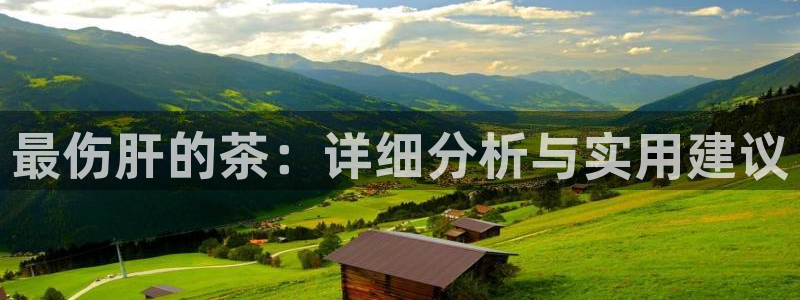 国际鸿运官方平台