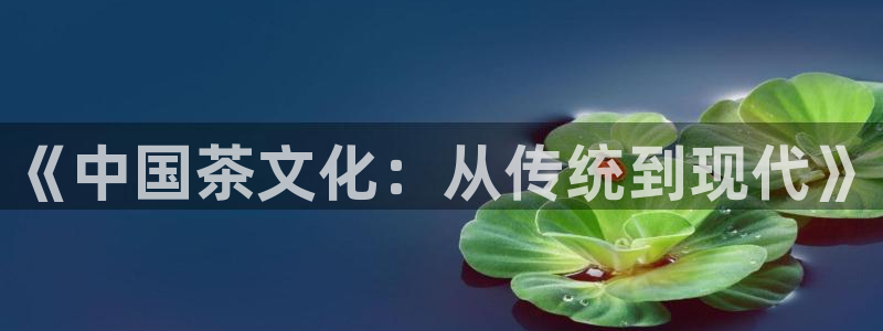 香港鸿运微投资平台