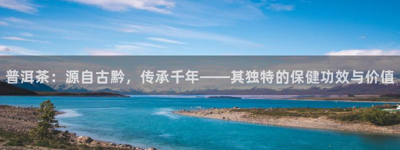 鸿运集团有几个平台