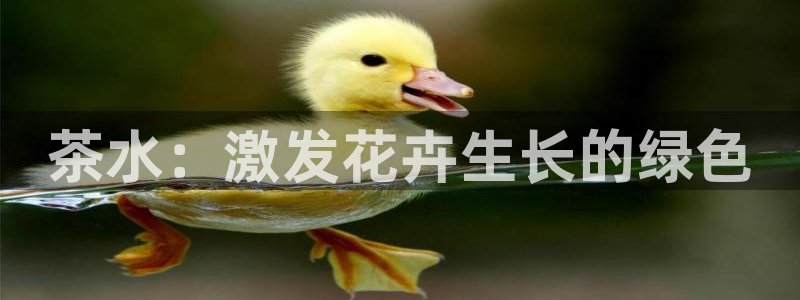 鸿运彩票平台下载