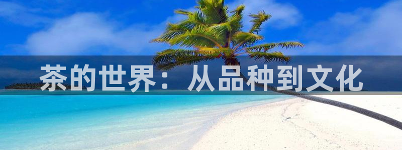 鸿运推广平台代理