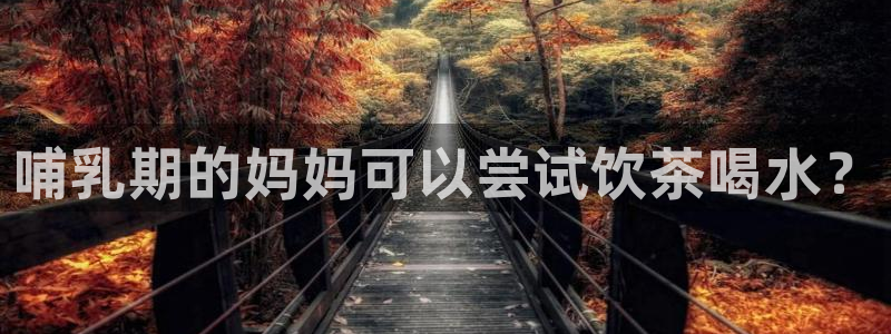 鸿运最新平台是什么