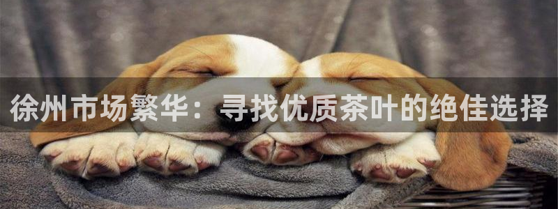 鸿运汽车团购平台