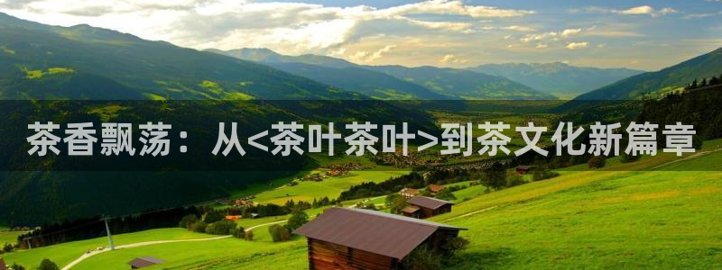 鸿运商会直播平台