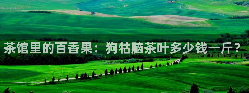 鸿运专业购彩平台网止