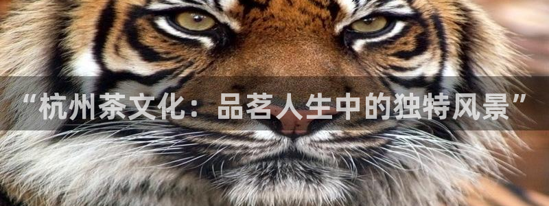 鸿运微交易平台