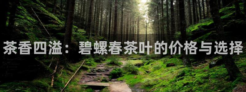 鸿运美食团购平台