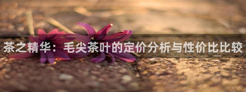 鸿运投资平台是什么平台