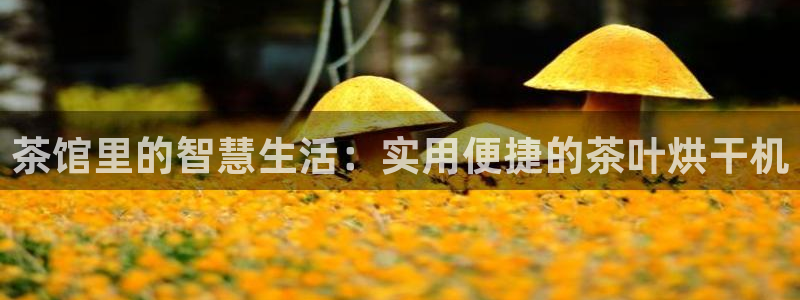 鸿运服务平台是什么平台