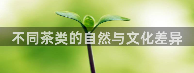 鸿运借款平台可靠吗