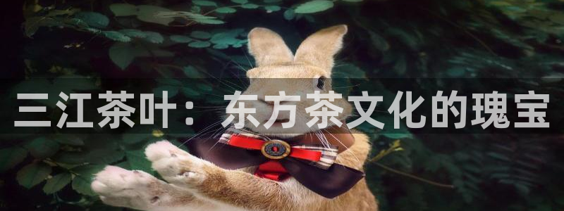 鸿运集团有几个平台