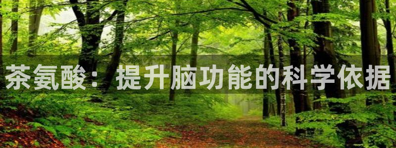 鸿运当头购物平台