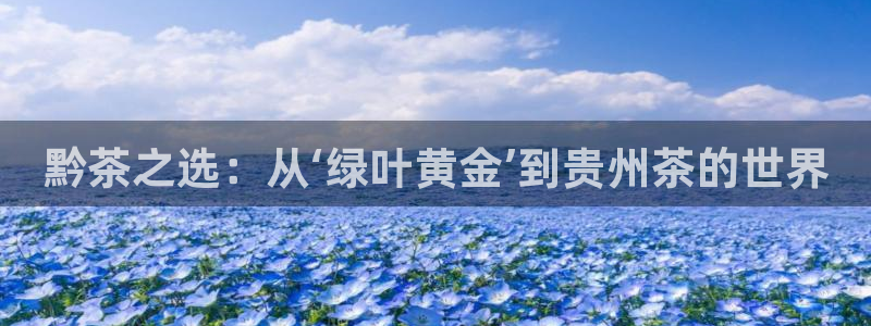 鸿运彩票专业平台