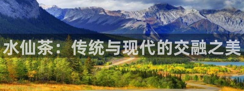 鸿运汽车团购平台