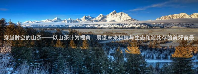 鸿运平台分分彩软件