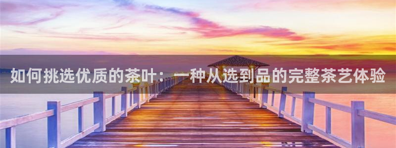 鸿运网平台是什么